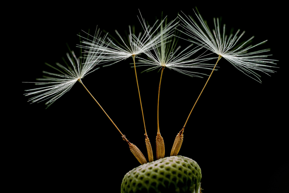 Platz 3 Kajetan Prinz